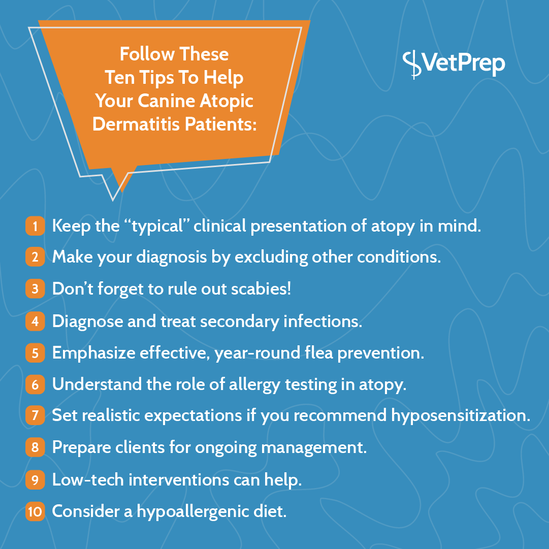 canine atopy treatment